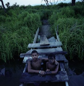 Jasmines on the Bayou