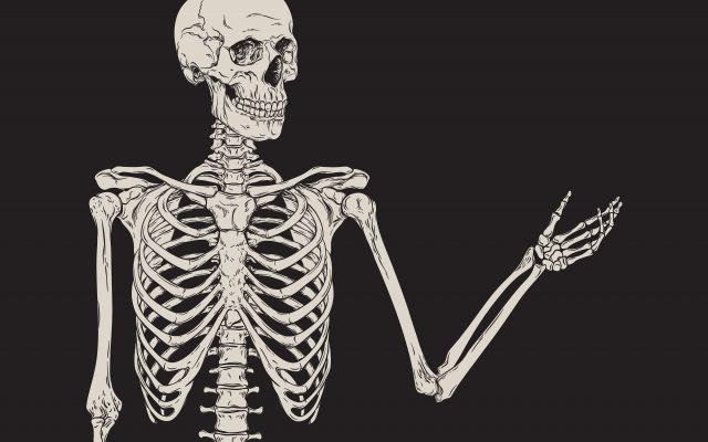 The Life – And Afterlife – Of Our Bones | Think
