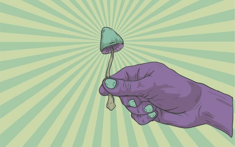 psychedelic mushroom