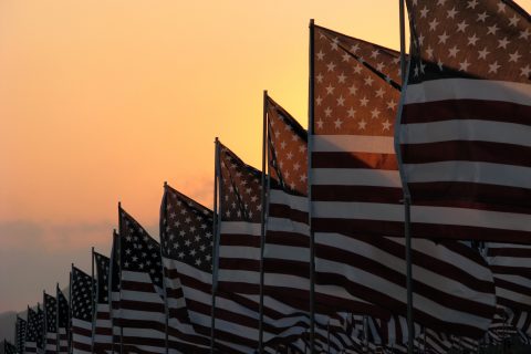 Photo of a line of American flags.