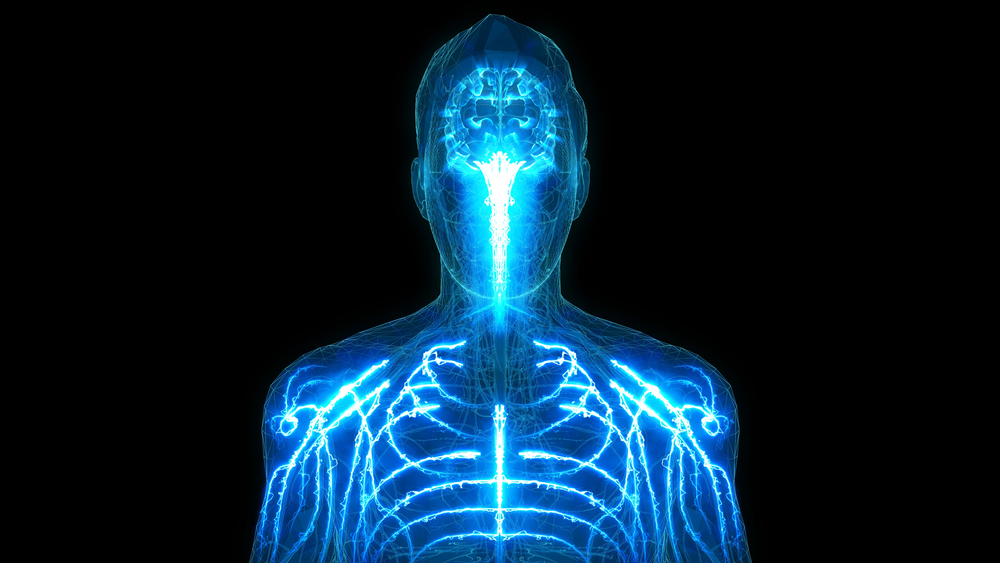 The Secret Body. How the New Science of the Human Body is Changing