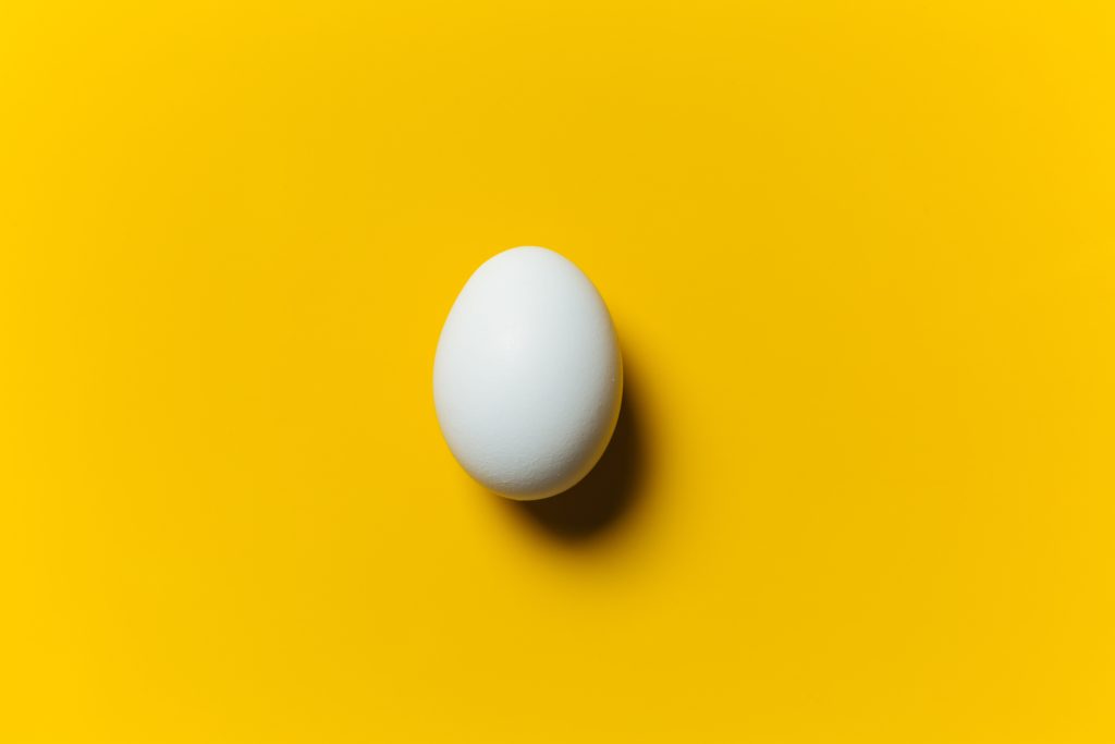 unscrambling-the-science-and-history-of-eggs-think